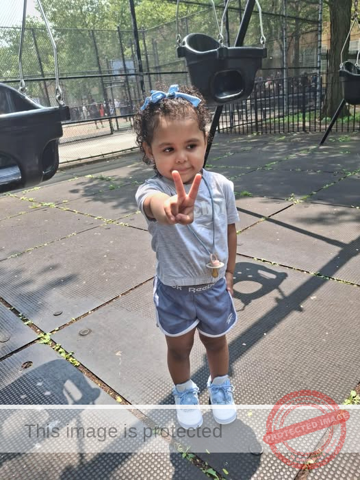 MISSING AUTISTIC TODDLER: Nova Echevarria — A 3-Year-Old in Danger