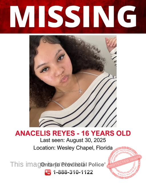 Help Find 16-Year-Old Anacelis Reyes: Missing from Wesley Chapel, Florida