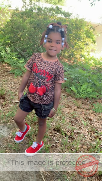 5-Year-Old Girl Tragically Killed While Waiting for School Bus in Sylvania, Georgia