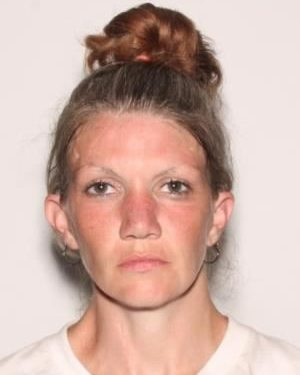 Still Missing: Amanda Nicole Hutchins, 37, from Bradenton, Florida