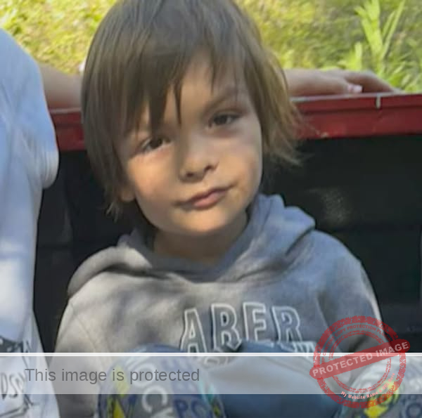 UPDATE: Day 5 – Ongoing Search for Missing 5-Year-Old Darius Macdougall in Crowsnest Pass