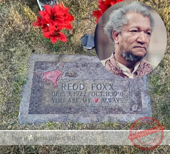 Remembering Redd Foxx (1922–1991): Comedy Legend and Star of Sanford and Son