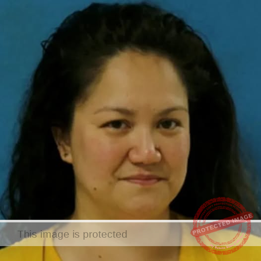 Elizabeth Wolf Pleads Guilty to Attempted Murder and Child Injury Following Disturbing Pool Incident in Euless, Texas