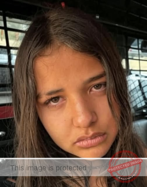 Missing Person Alert: 13-Year-Old Mia Gil Last Seen in Colorado Springs, CO