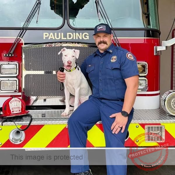 From Tragedy to Triumph: Rescue Puppies Lieutenant Pee Wee and Chief Become Fire Dogs