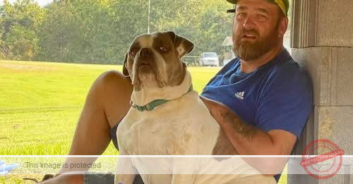 Jeremy L. Johnson, 48, Tragically Dies in Fatal Tractor-Trailer Accident in Nelsonville, Ohio