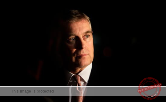 Virginia Giuffre Claims Prince Andrew’s Team Tried to Hire Internet Trolls in Posthumous Memoir