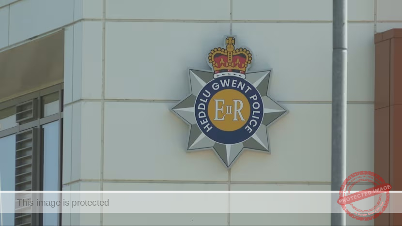 Nine-Month-Old Baby Dies Following Dog Attack in Monmouthshire, Wales