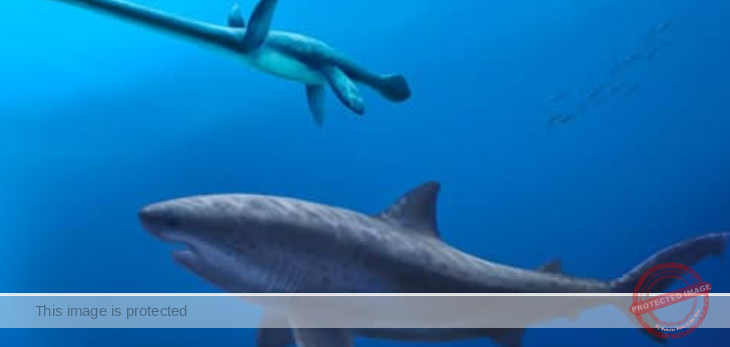 Ancient Mega-Shark Discovered in Australia Pushes Back Origins of Giant Predators by 15 Million Years